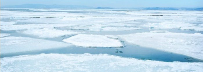 Looking for a great way to mix and mingle at your next retreat? This 4 Corners Icebreaker is a great way to get to know others.