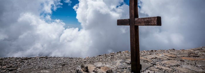 When we are planted in God’s Word our roots keep us from being thrown around by anything that comes our way. The truth that fills carries us through.